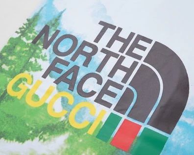GUCCI x THE NORTH FACE COLLABORATION T-SHIRT – GCS144 WellDesigned 4520