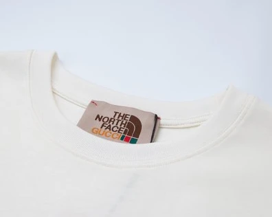 GUCCI x THE NORTH FACE COLLABORATION T-SHIRT – GCS144 WellDesigned 4520