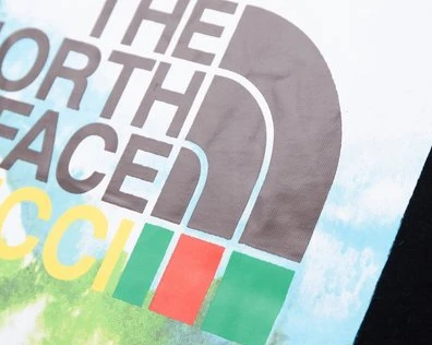 GUCCI x THE NORTH FACE COLLABORATION T-SHIRT – GCS145 WellDesigned 5966