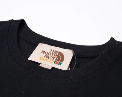GUCCI x THE NORTH FACE COLLABORATION T-SHIRT – GCS145 WellDesigned 5966
