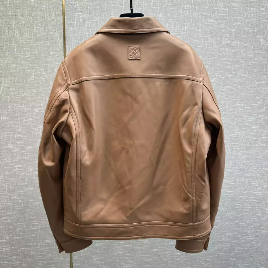 Louis Vuitton Embroidered Leather Blouson Jacket – LC021 Comfortable 6911