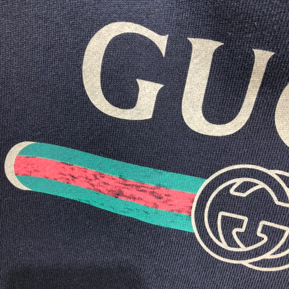 Popular 3696 Gucci Logo Print Hoodie – GBH015