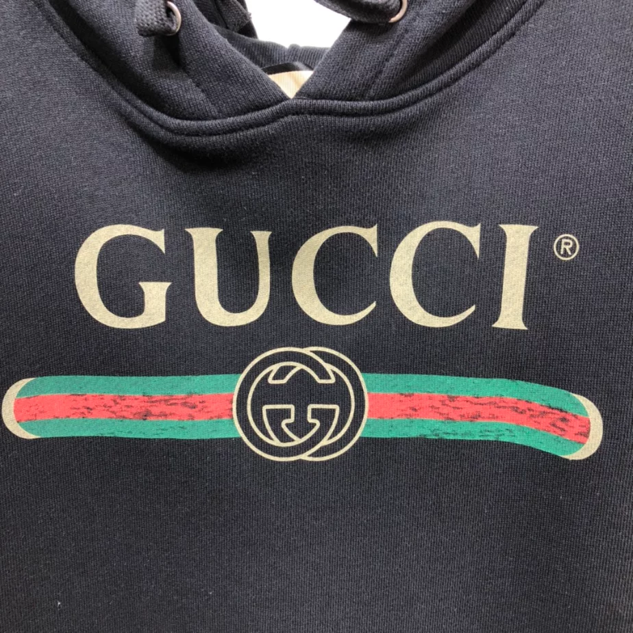Popular 3696 Gucci Logo Print Hoodie – GBH015