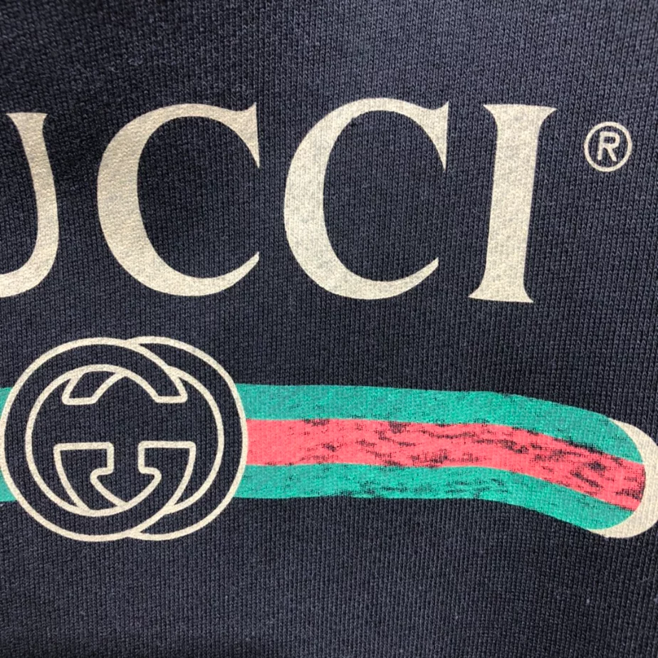 Popular 3696 Gucci Logo Print Hoodie – GBH015