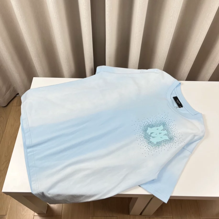 WellDesigned 4555 Amiri T-Shirt – AMS004