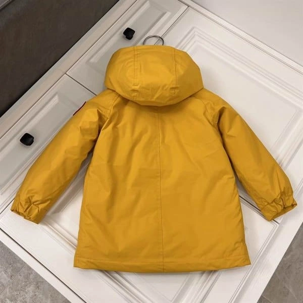 WellDesigned 6605 Canada Goose – CG003