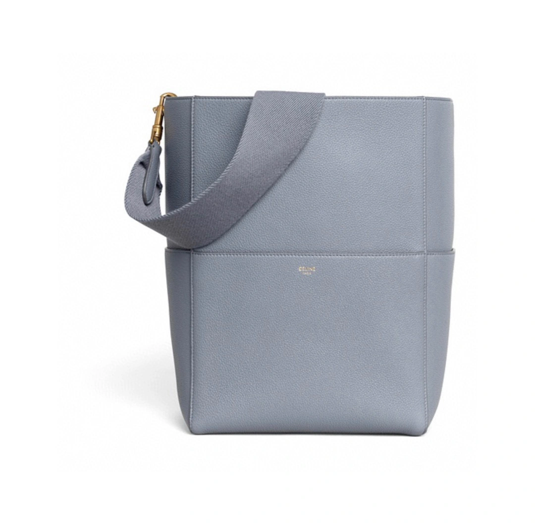 189593AH4-09GM Suau Sangle Calf leather item:B-B093B1293