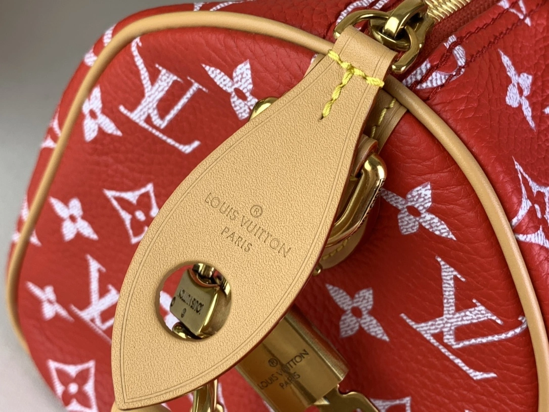 MOMO-- 8V M23425 high quality version Speedy P9 Bandoulière25 cowhide sheepskin item:E-B000C0238