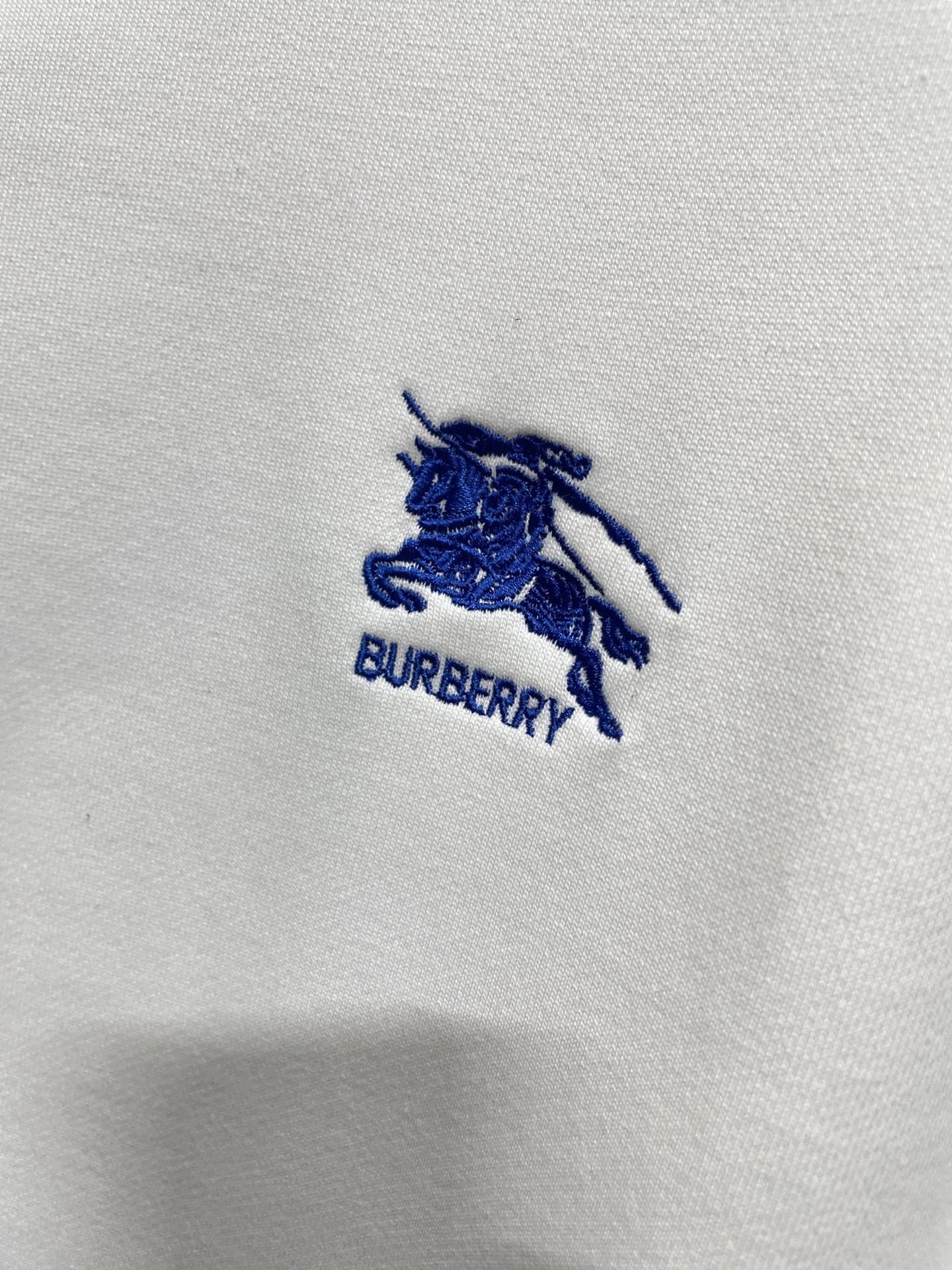 Bald Eagle- 2ur25rry high quality version Cotton embroidery 宽大款oversized 2Colour item:E-F360K1074-2
