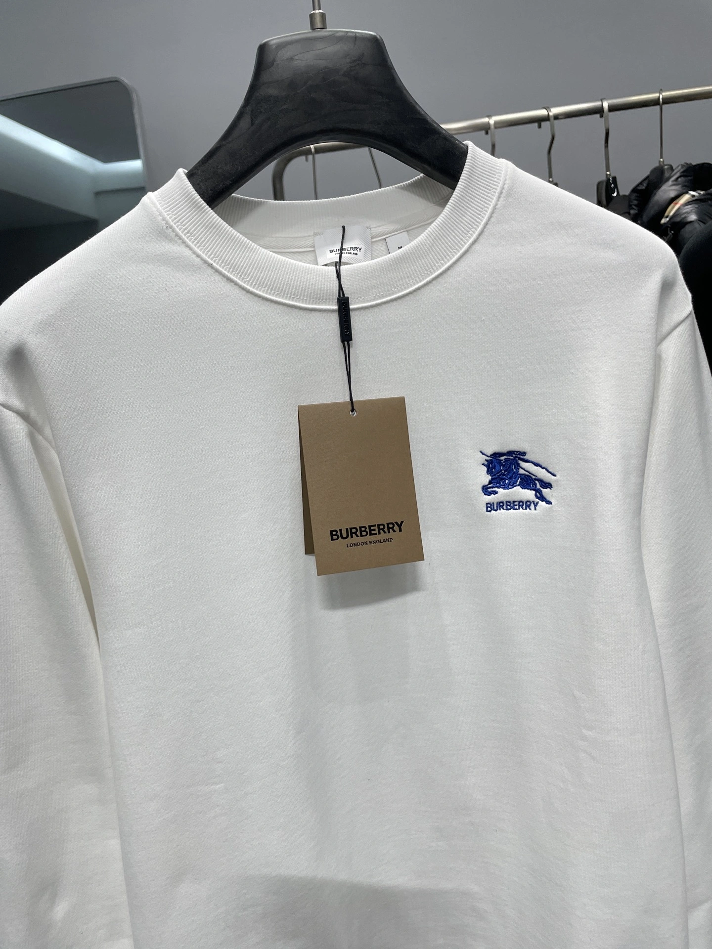 Bald Eagle- 2ur25rry high quality version Cotton embroidery 宽大款oversized 2Colour item:E-F360K1074-2