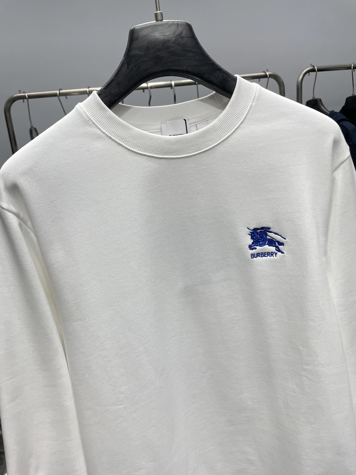 Bald Eagle- 2ur25rry high quality version Cotton embroidery 宽大款oversized 2Colour item:E-F360K1074-2
