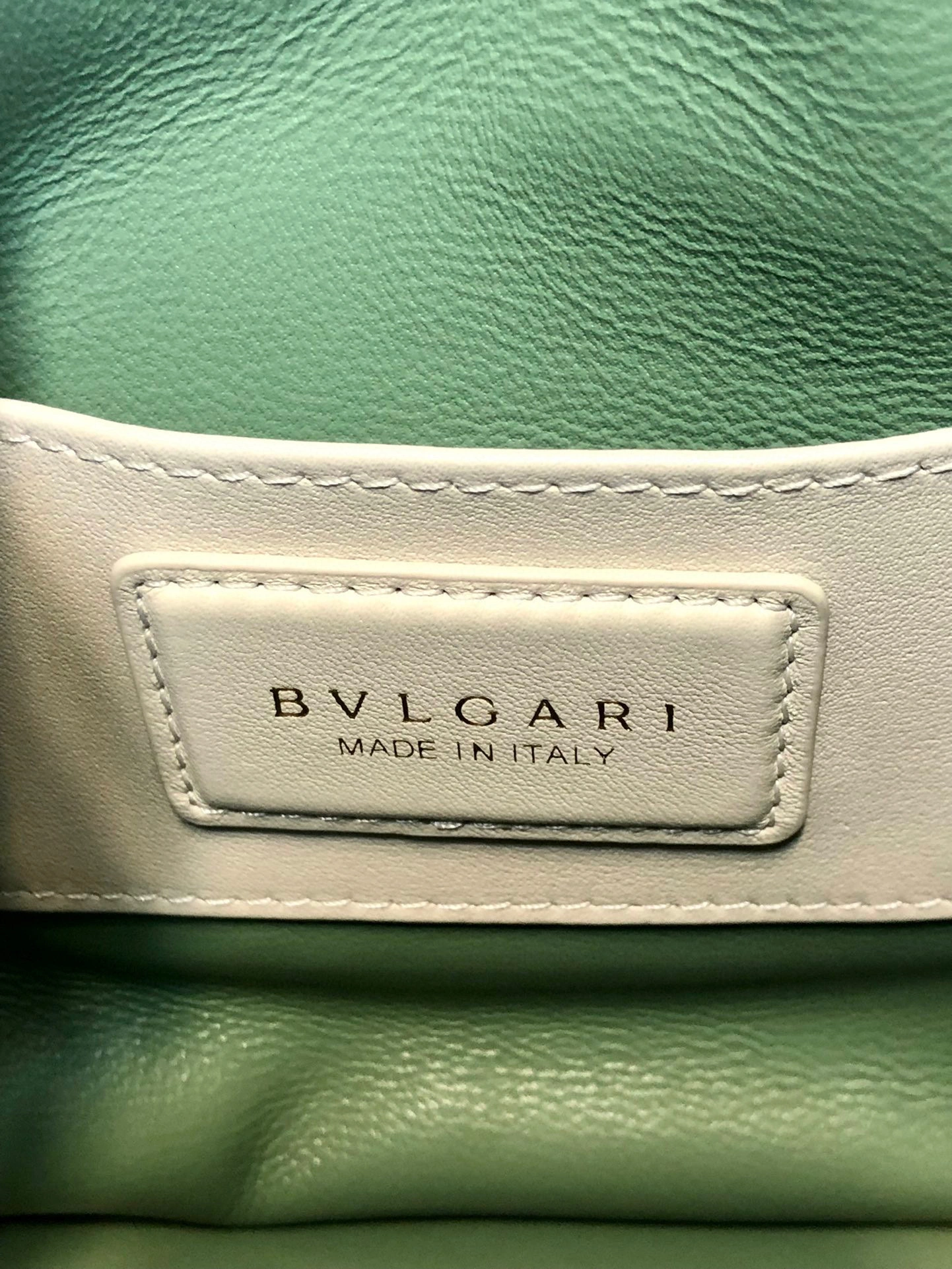 287806 “Serpenti Forever” Calf leather item:B-B202B0644