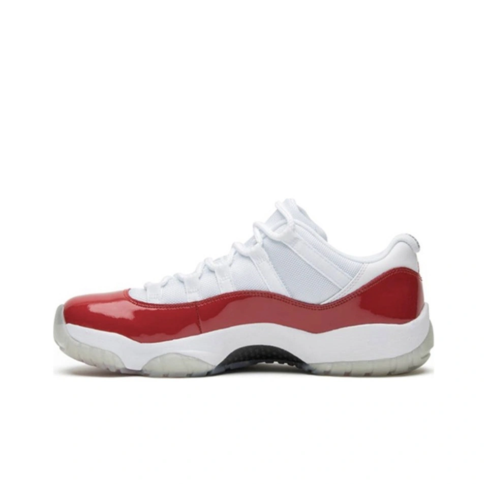 528895-102 item:C-X000C2013