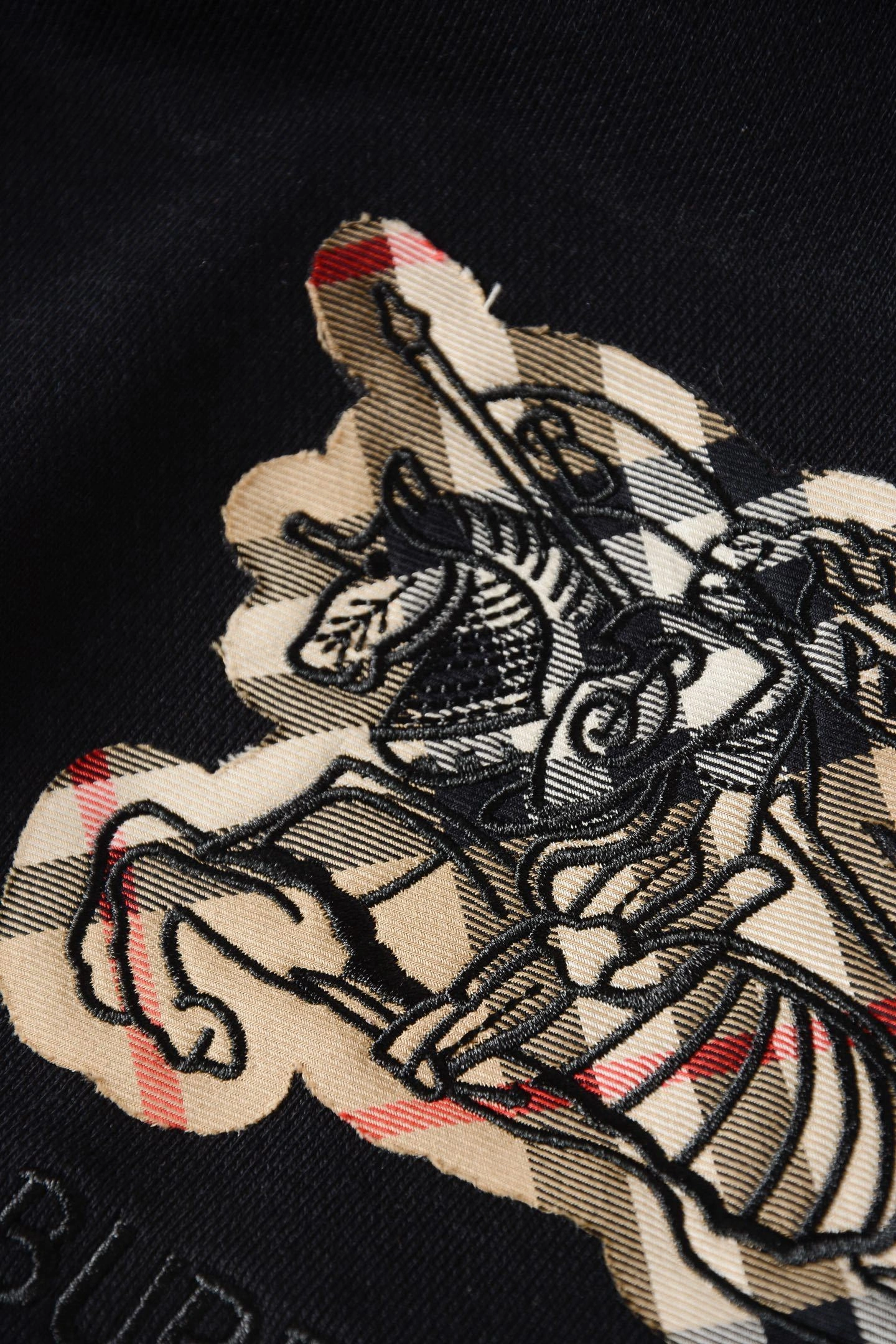 Bald Eagle-- 2ur25rry high quality version Cotton embroidery oversize 2colour item: E-F020J1205-2H