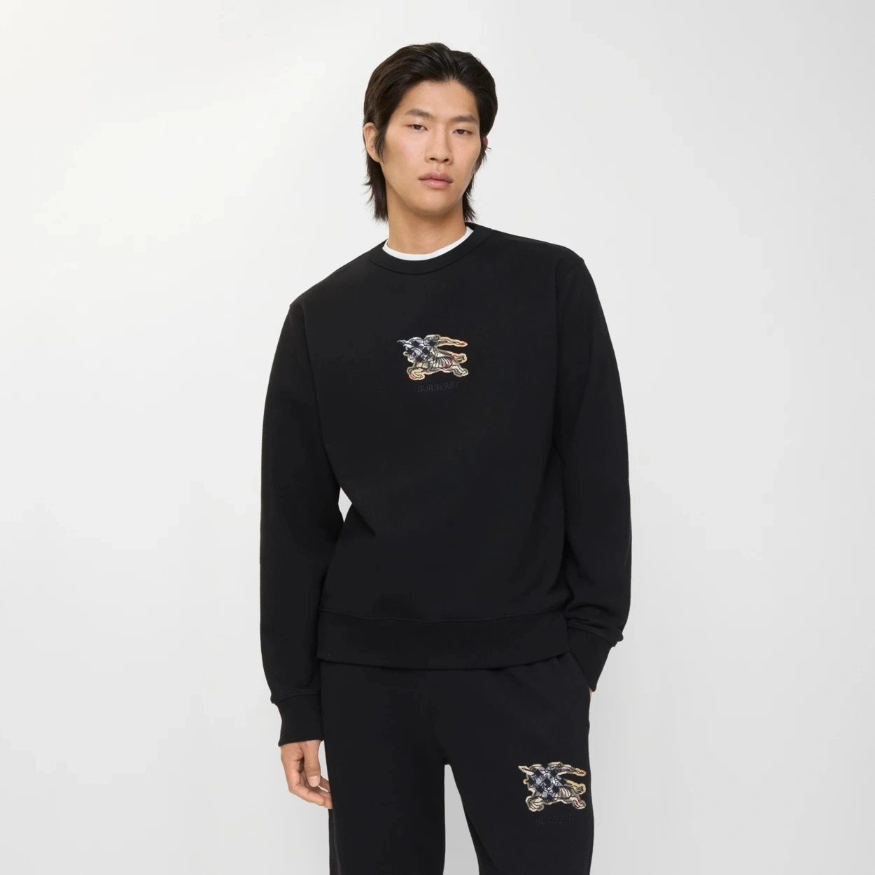 Bald Eagle-- 2ur25rry high quality version Cotton embroidery oversize 2colour item: E-F020J1205-2H
