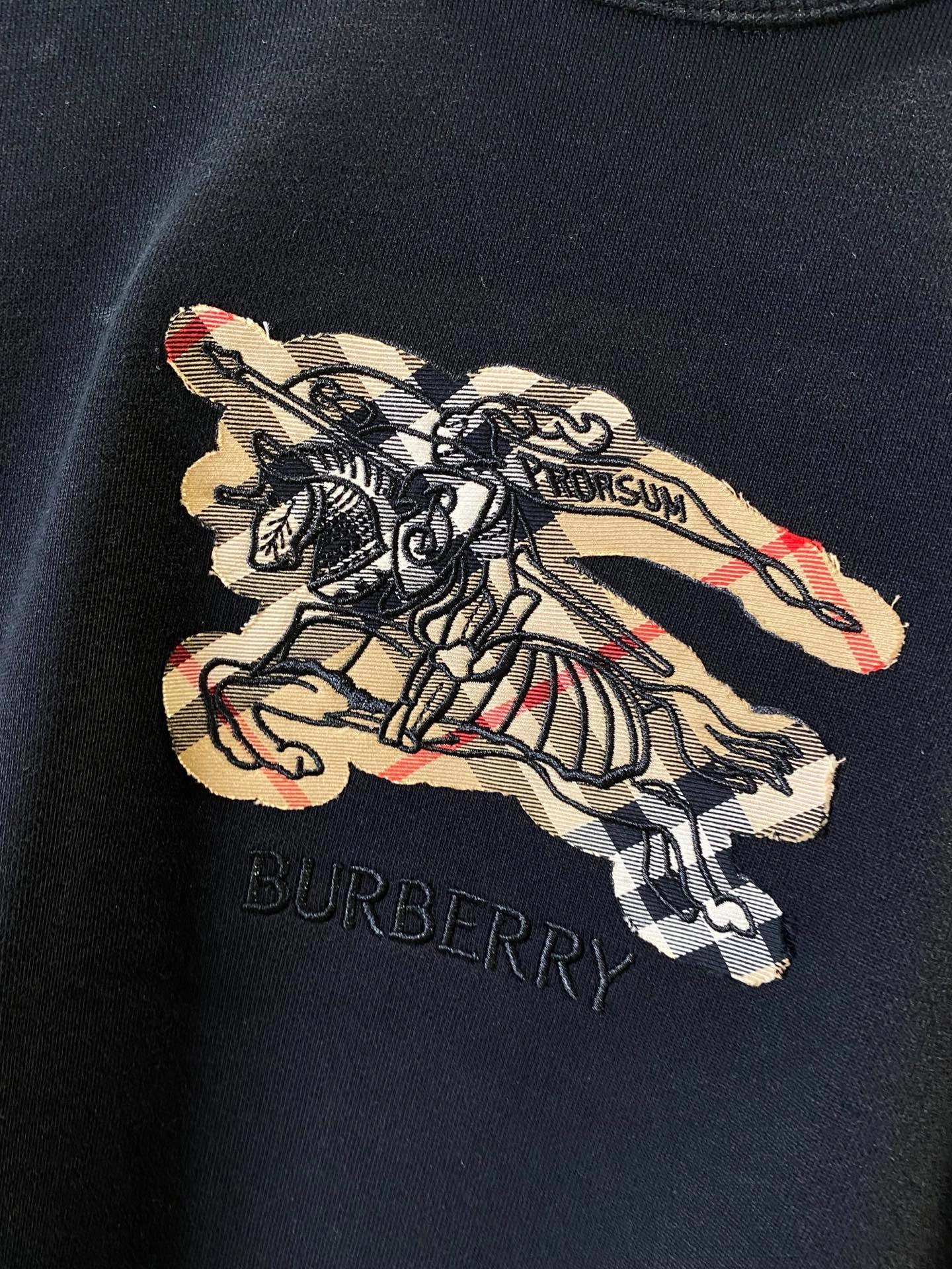 Bald Eagle-- 2ur25rry high quality version Cotton embroidery oversize 2colour item: E-F020J1205-2H