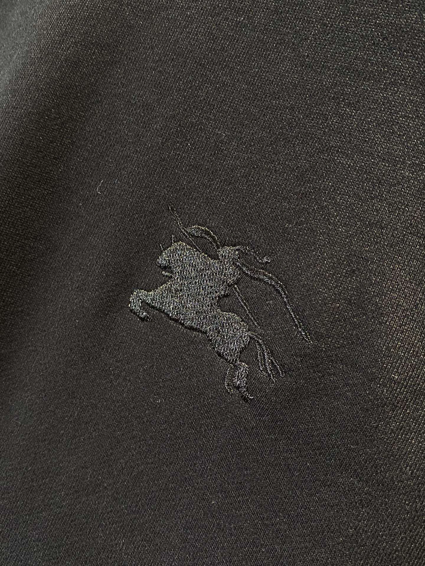 Bald Eagle-- 2ur25rry high quality version embroidery Cotton oversize 2colour item: E-F020J0572-2H