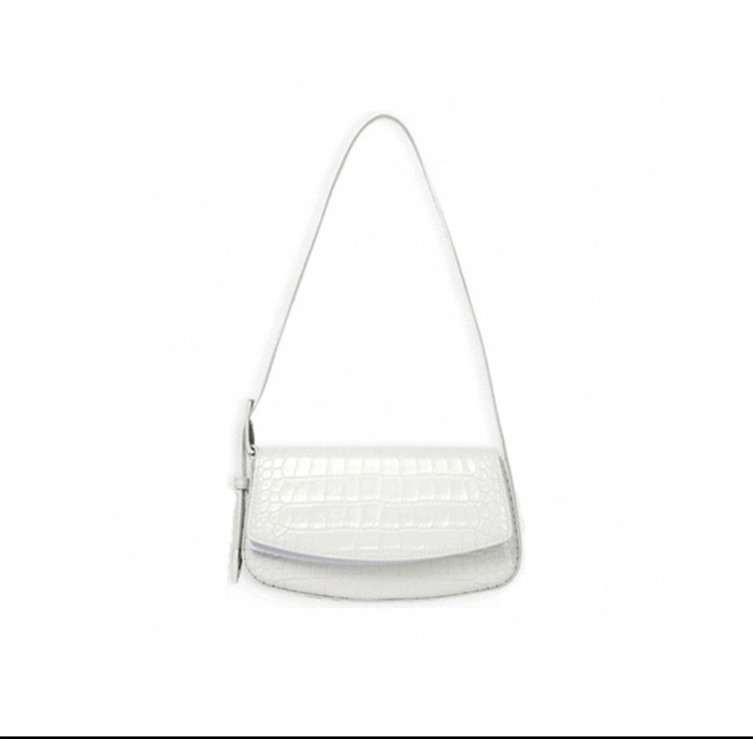 6189301LRVY9016 host bag item:B-B563A2447