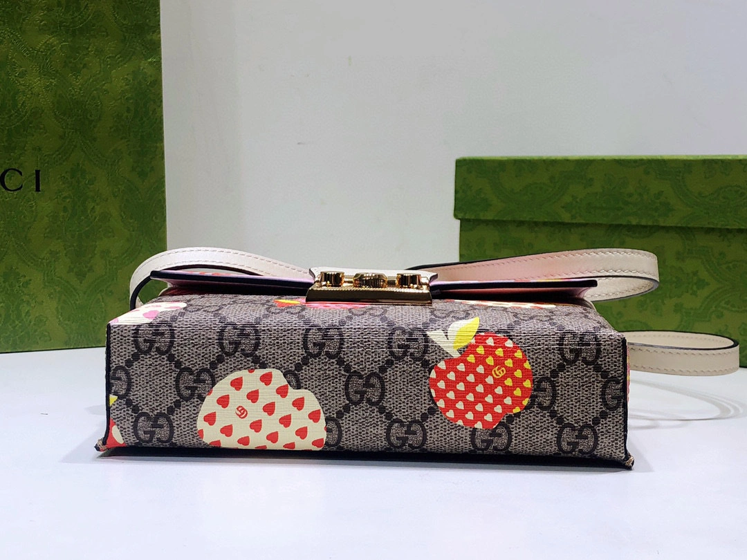 652683 padlock item:B-B000B2419