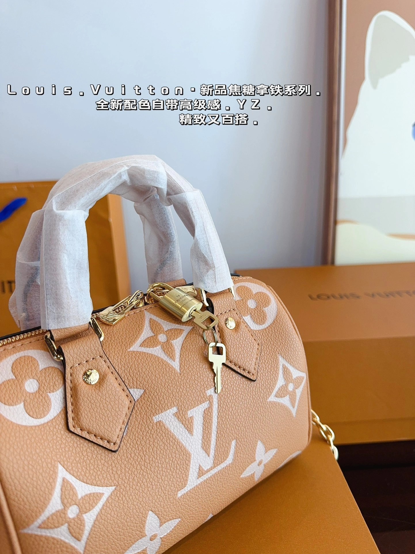 8V M12713 LV Speedy20 Speedy item:DT-B351J0809