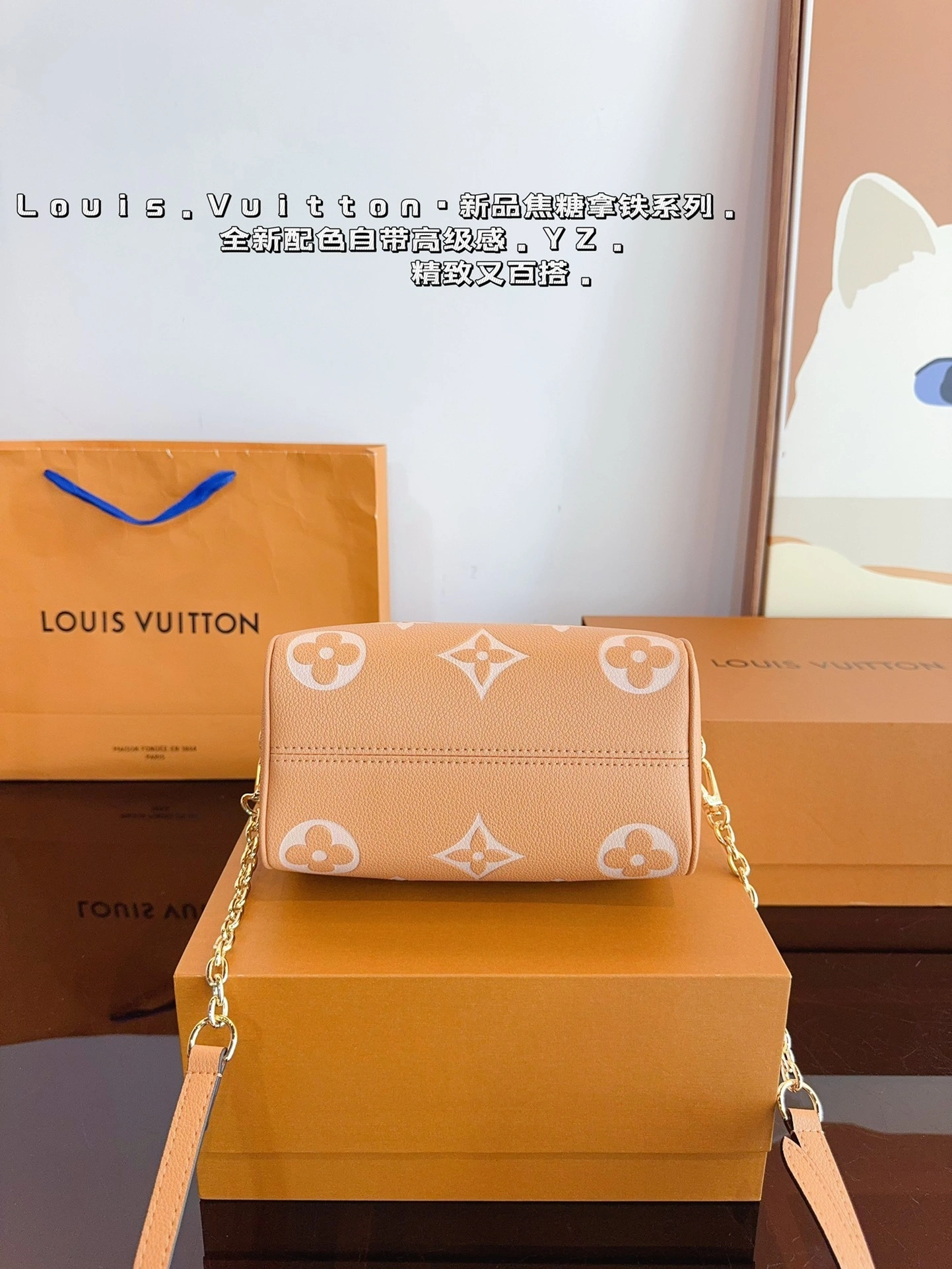 8V M12713 LV Speedy20 Speedy item:DT-B351J0809