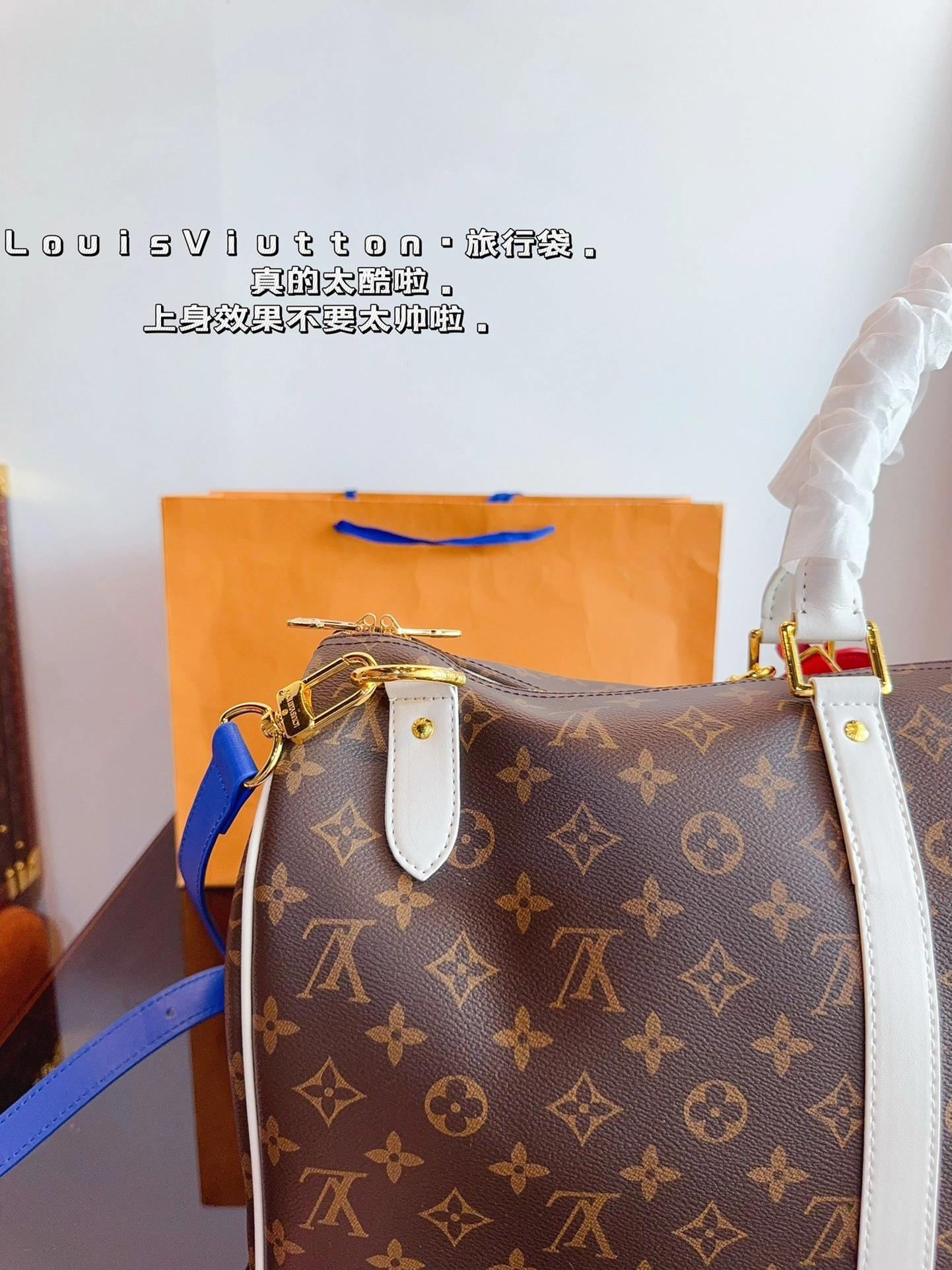 8V M45587 keepall item:DT-B264H0134