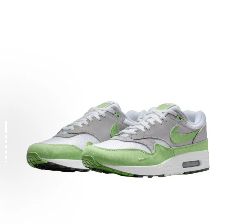 Flying pig--9ik5 HF1012-300 Air Max 1 x Patta "Chlorophyll 20th Anniversary" item: E-X575L2037B