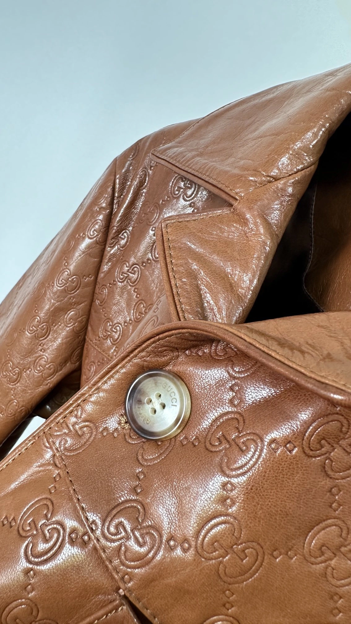 ACE- 6u33i sheepskin oversized item:D-F409J0620