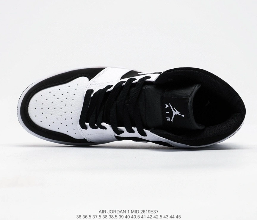 &Air--sneaker,item :231X13K1216