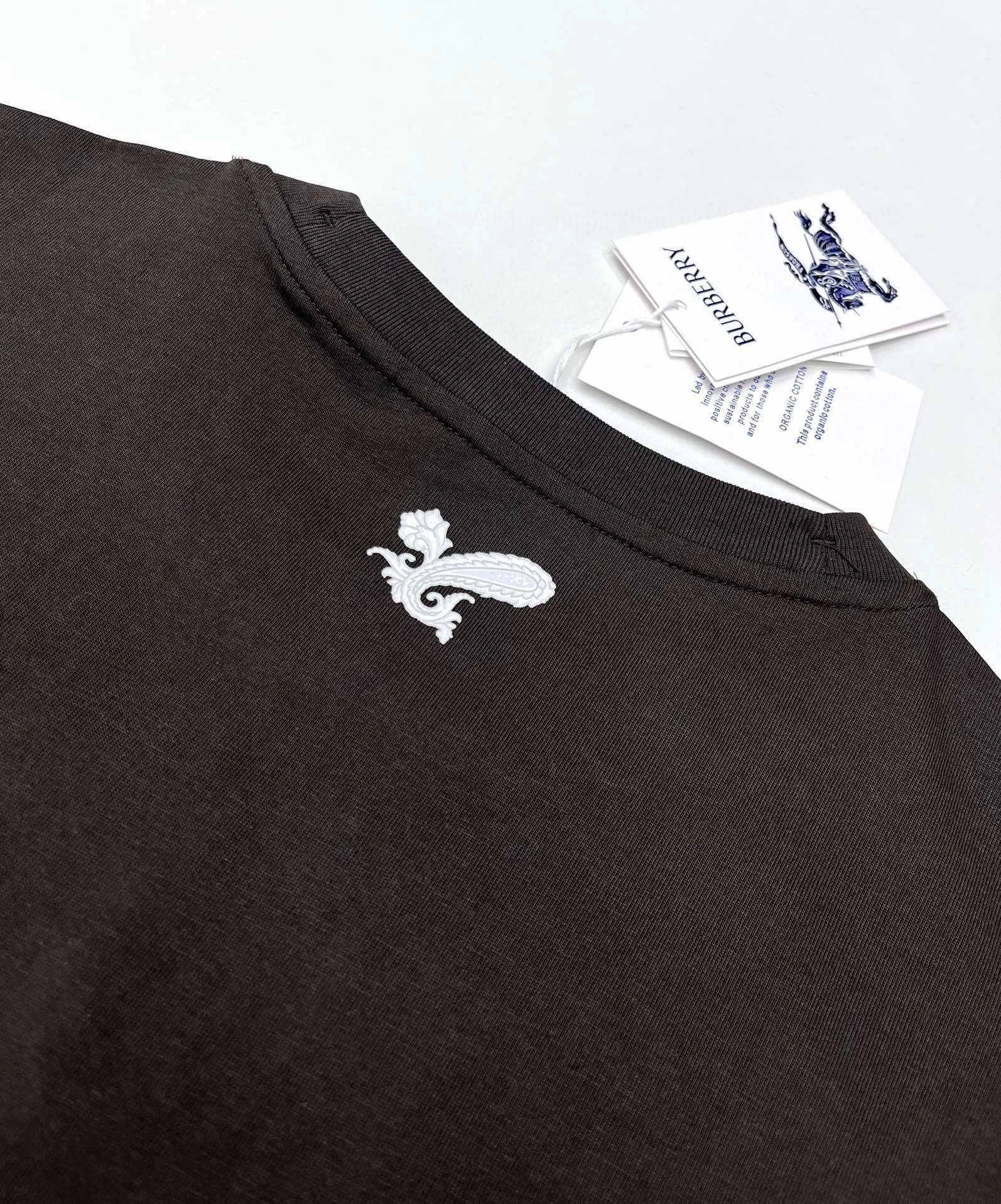 Bald Eagle -- 2ur25rry 2colour item:E-F237A0707-2
