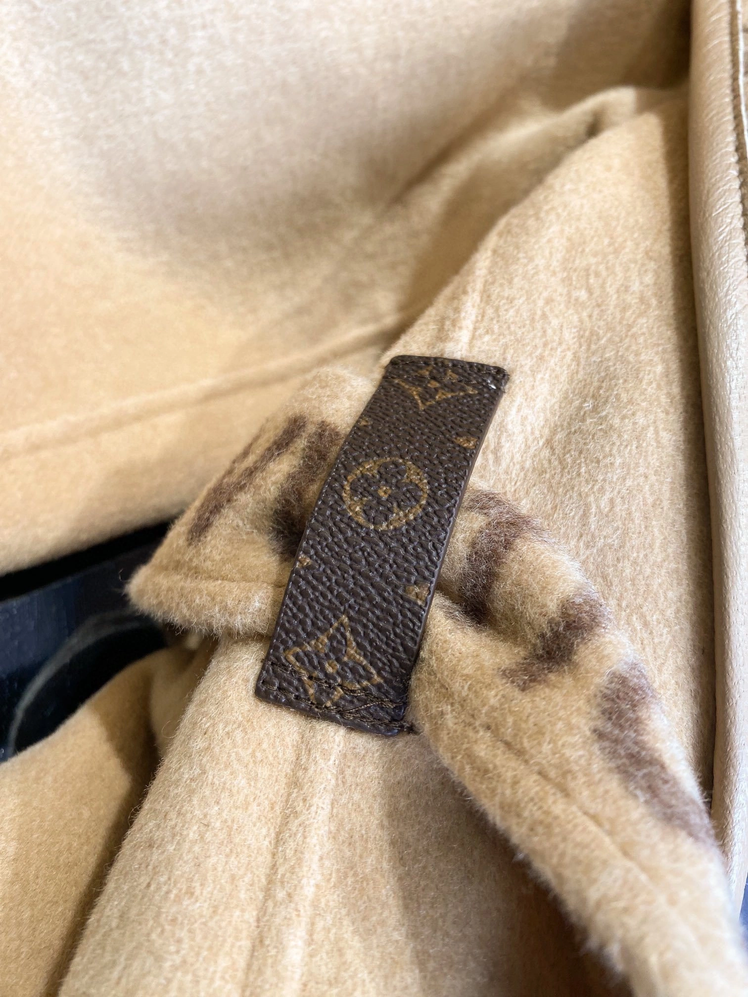Bald Eagle-- 8V 1AAAWD cashmere Wool lambskin item:D-F020K0120