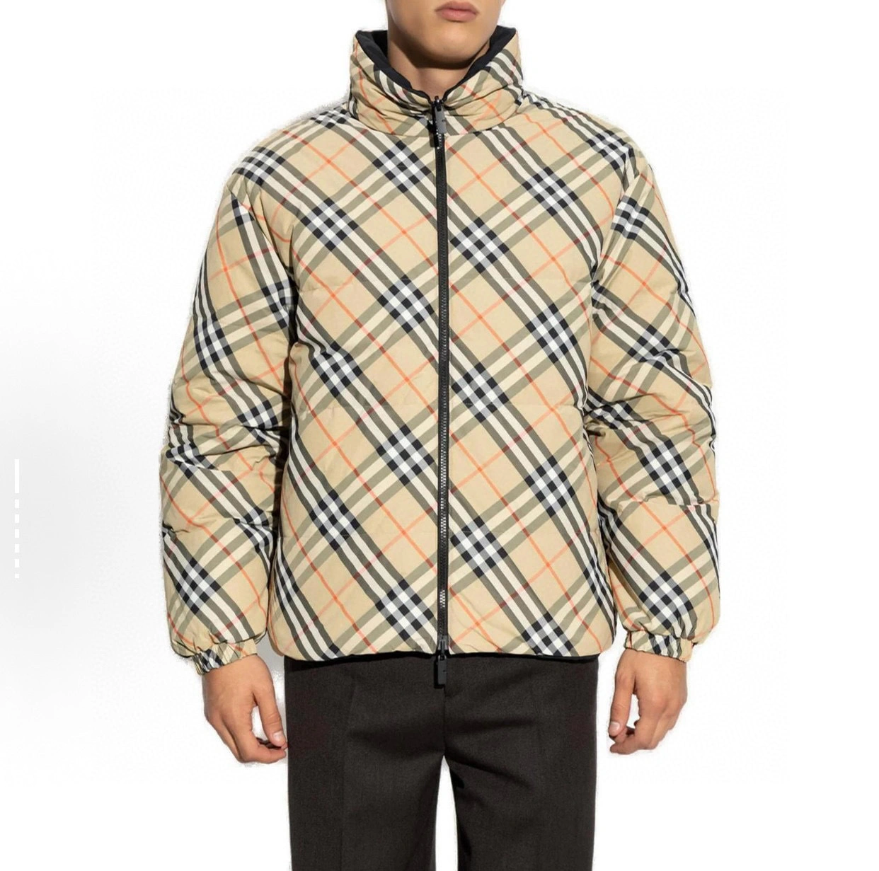 Bald Eagle- 2ur25rry Down jacket 90% goose down nylon 2Colour item:E-F020K1614-2H