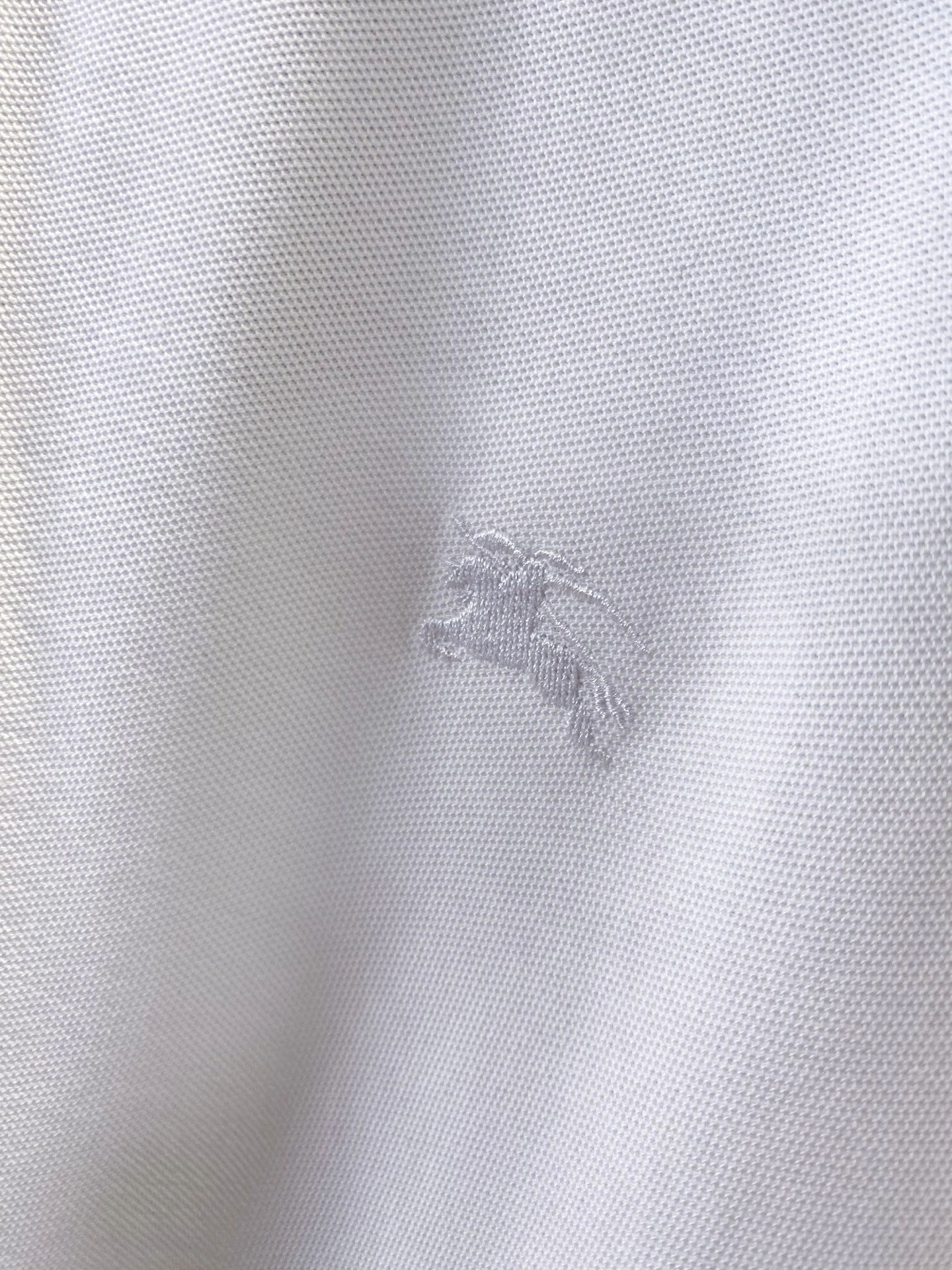 Bald Eagle- 2ur25rry Polo cotton embroidery oversize 4colour item:E-F020E1818-4