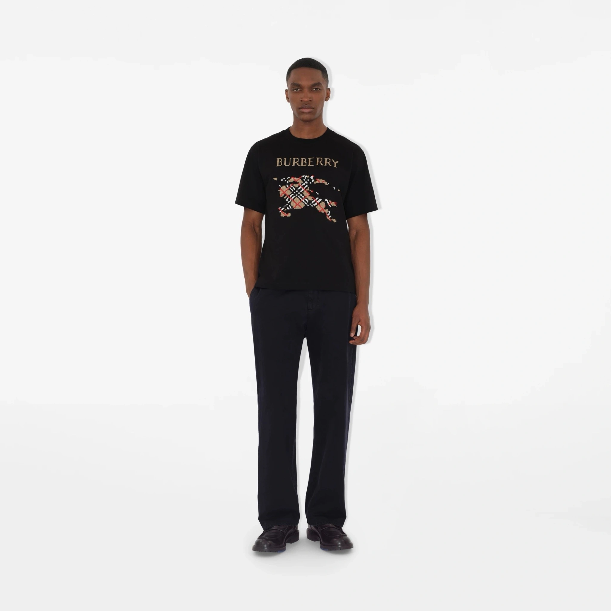Bald Eagle- 2ur25rry cotton embroidery oversize 2colour item:E-F020E1819-2