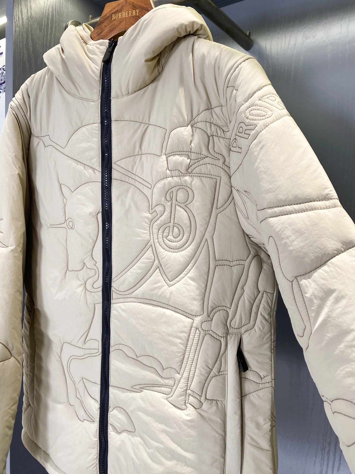 Bald Eagle- 2ur25rry embroidery item:E-F020K1618H