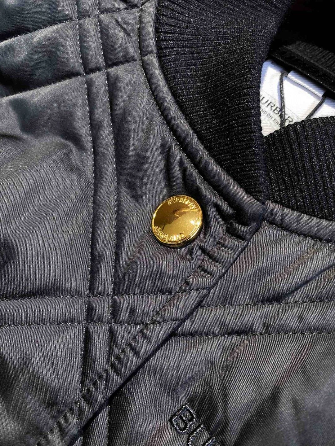 Bald Eagle- 2ur25rry high quality version item:D-F020K2205