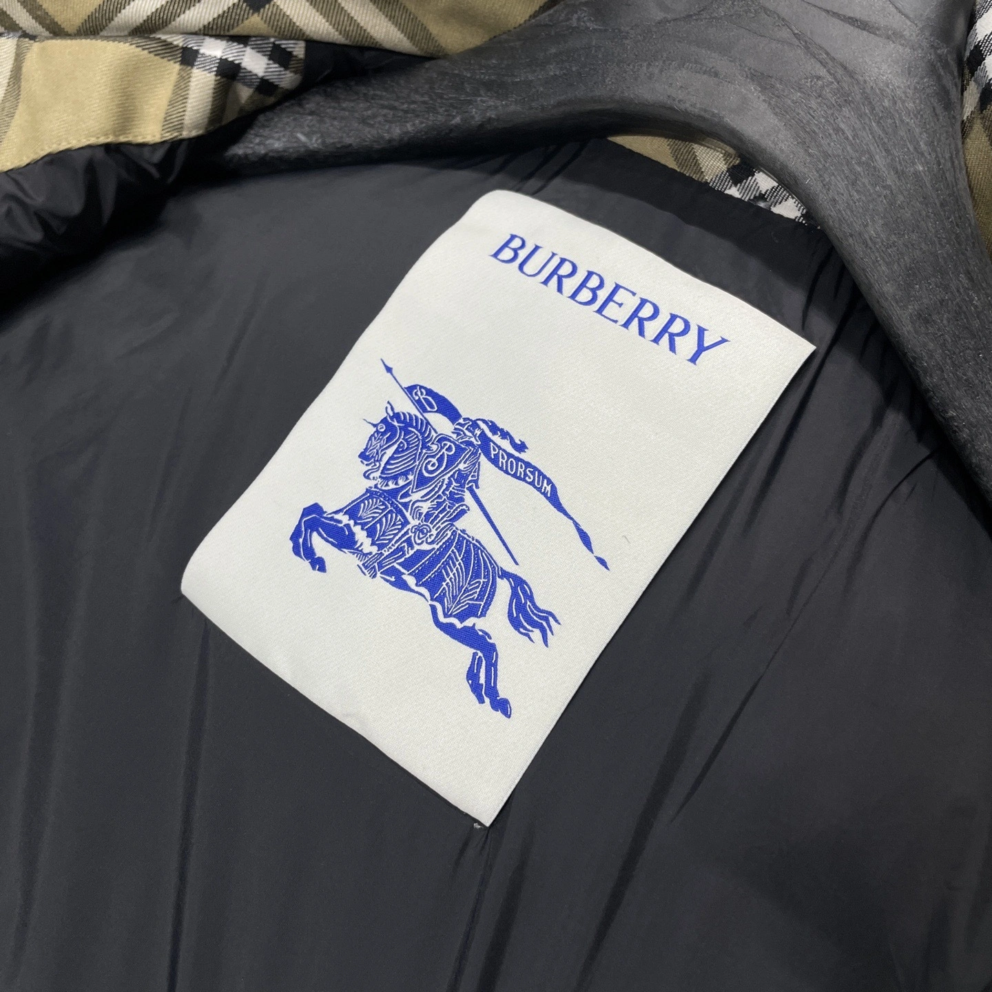 Bald Eagle- 2ur25rry nylon Down jacket 90 white duck down item:E-F360K0328