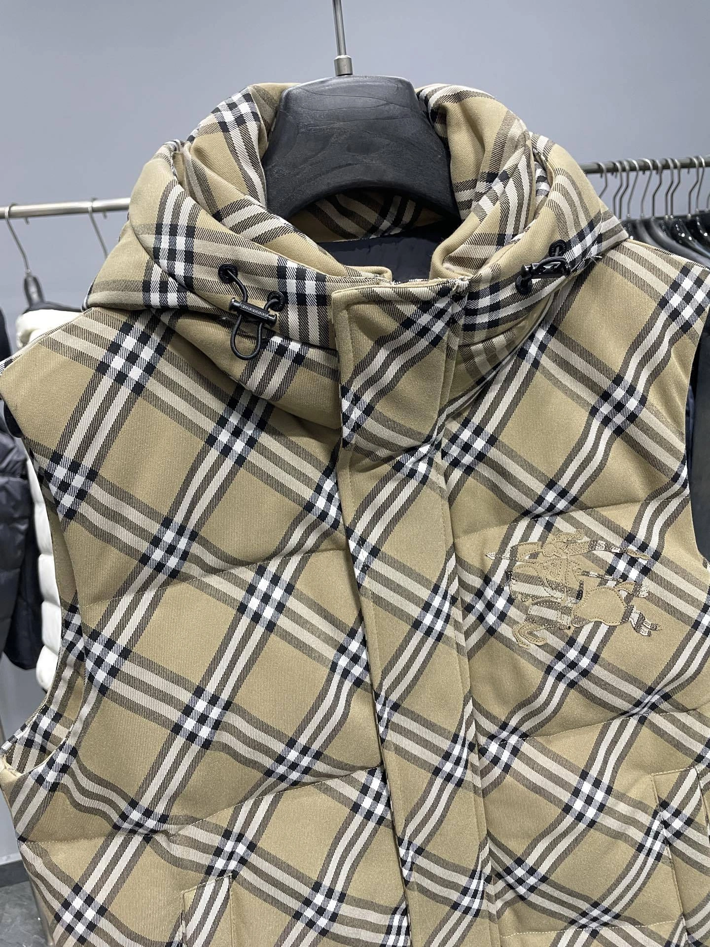 Bald Eagle- 2ur25rry nylon Down jacket 90 white duck down item:E-F360K0328