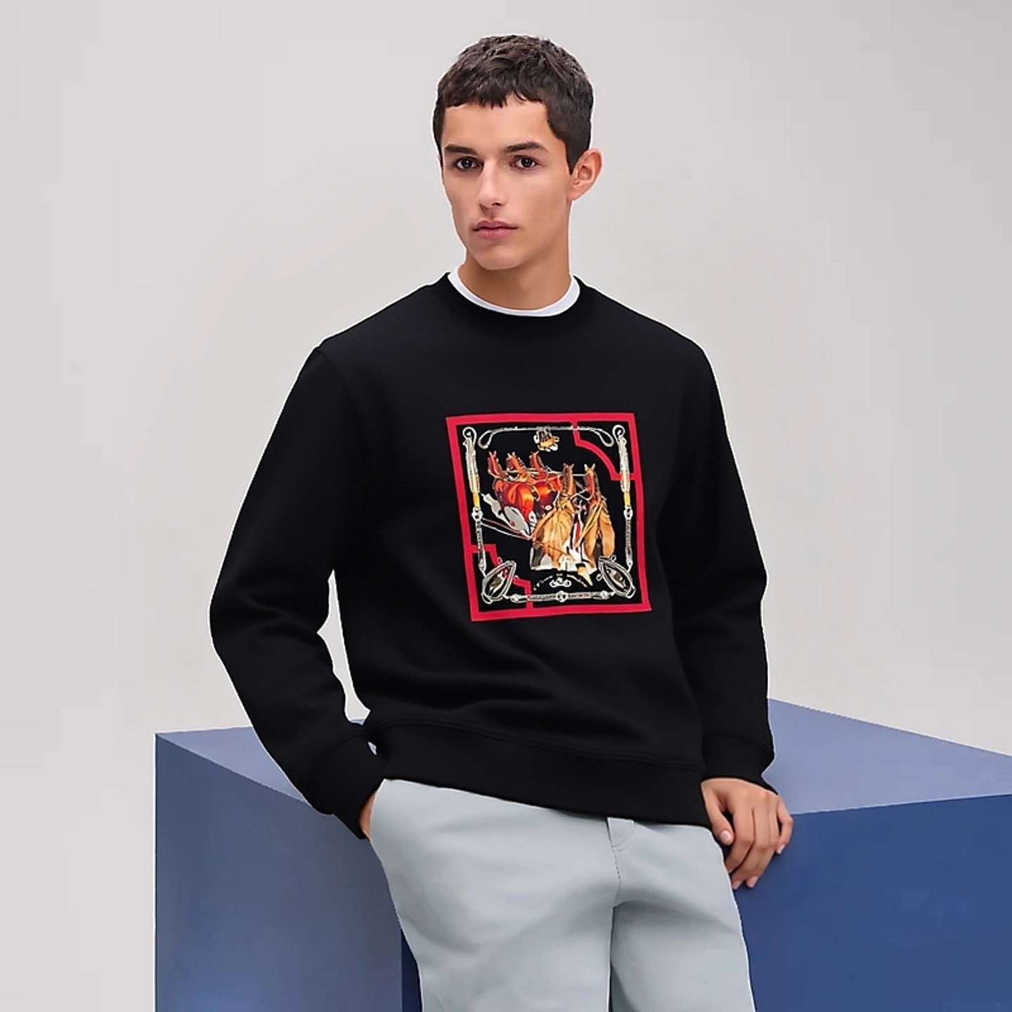 Bald Eagle- H5r75s high quality version Cotton 2Colour item:E-F360K1033-2