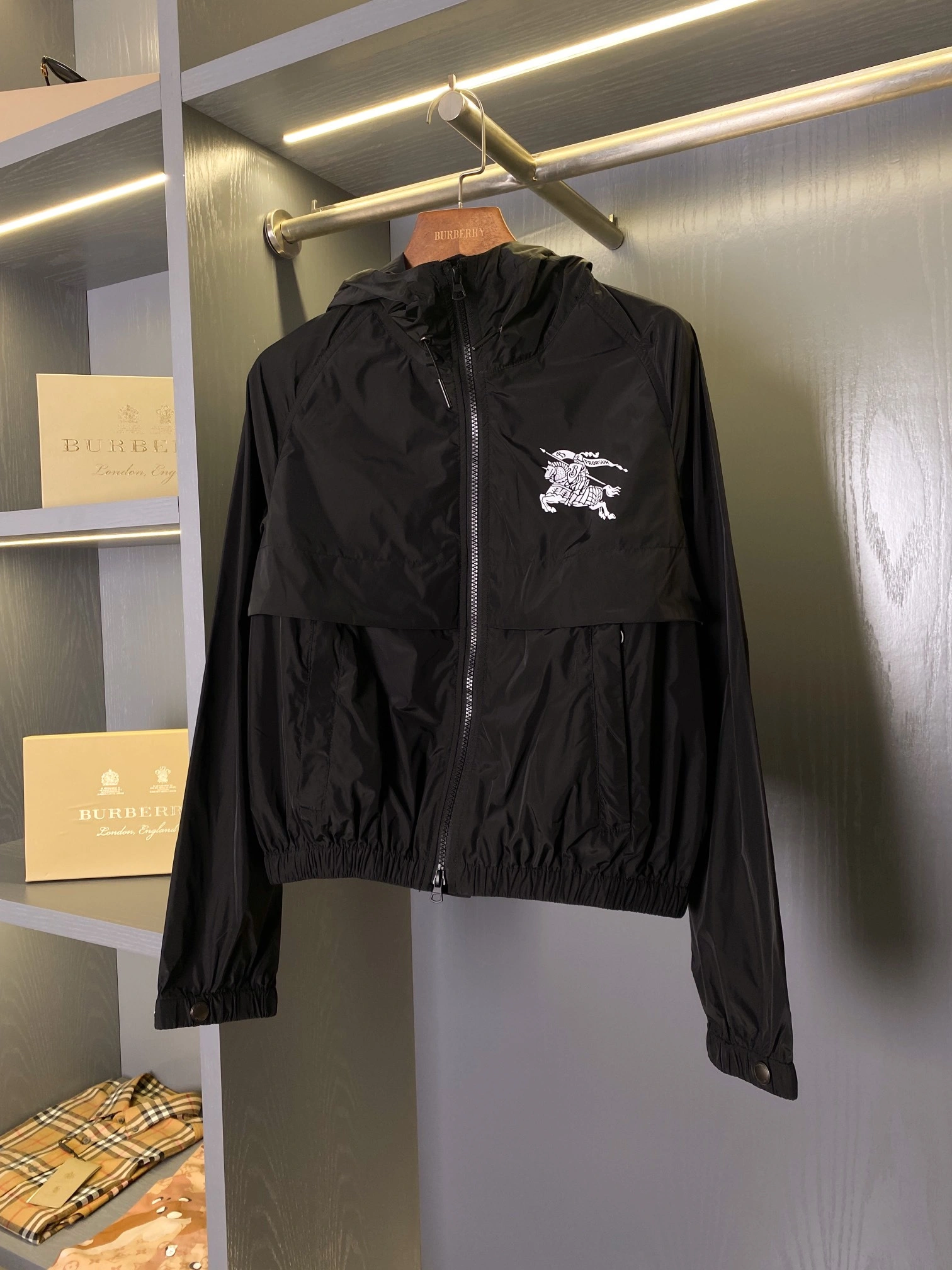 Bald Eagle- oversized item:D-F020D0217