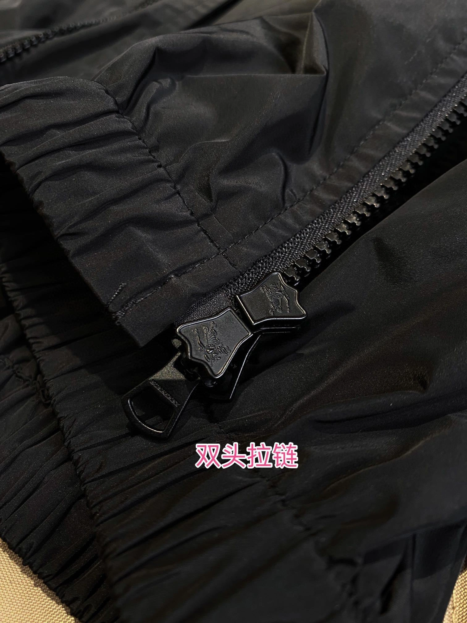 Bald Eagle- oversized item:D-F020D0217