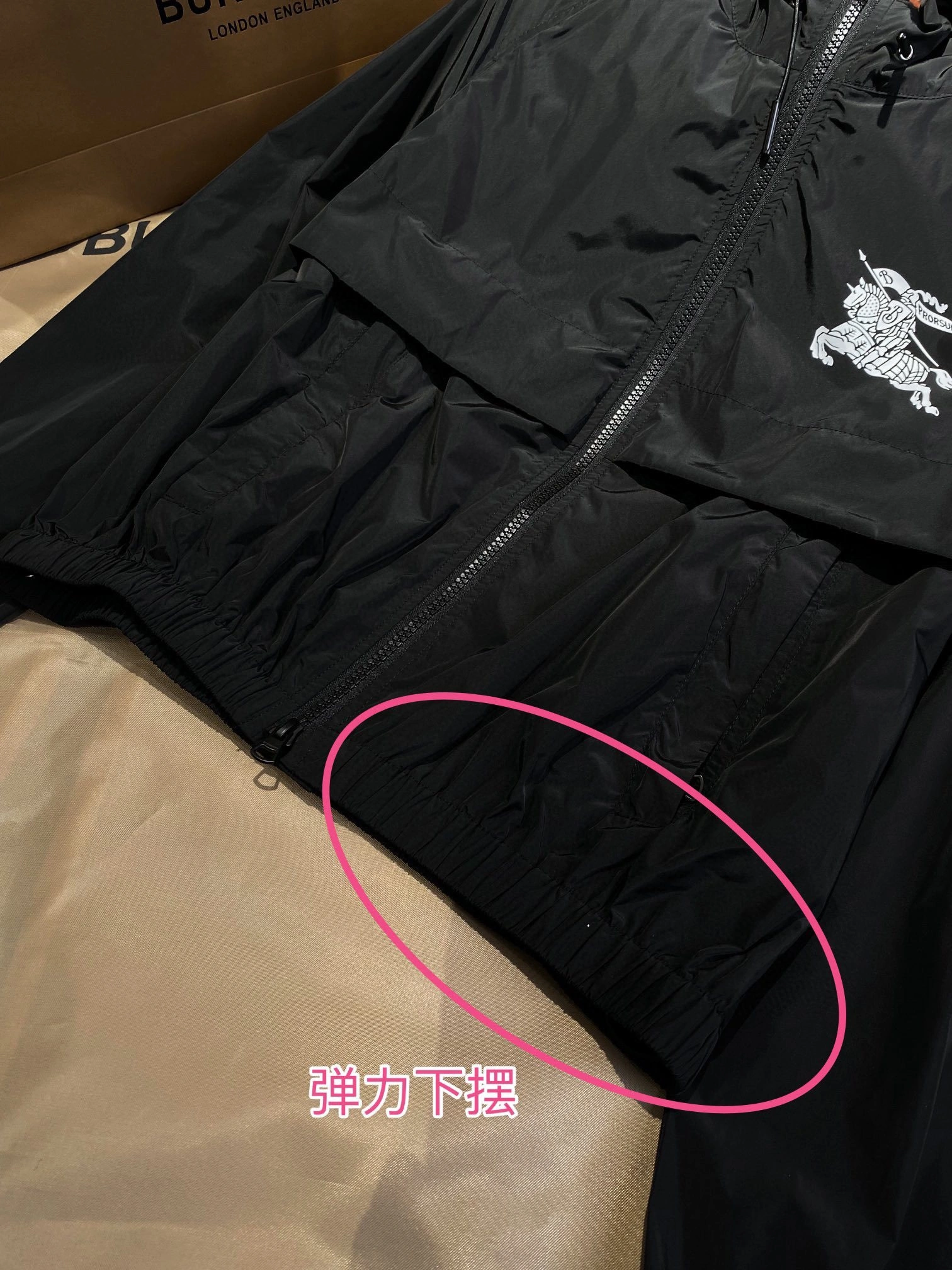 Bald Eagle- oversized item:D-F020D0217