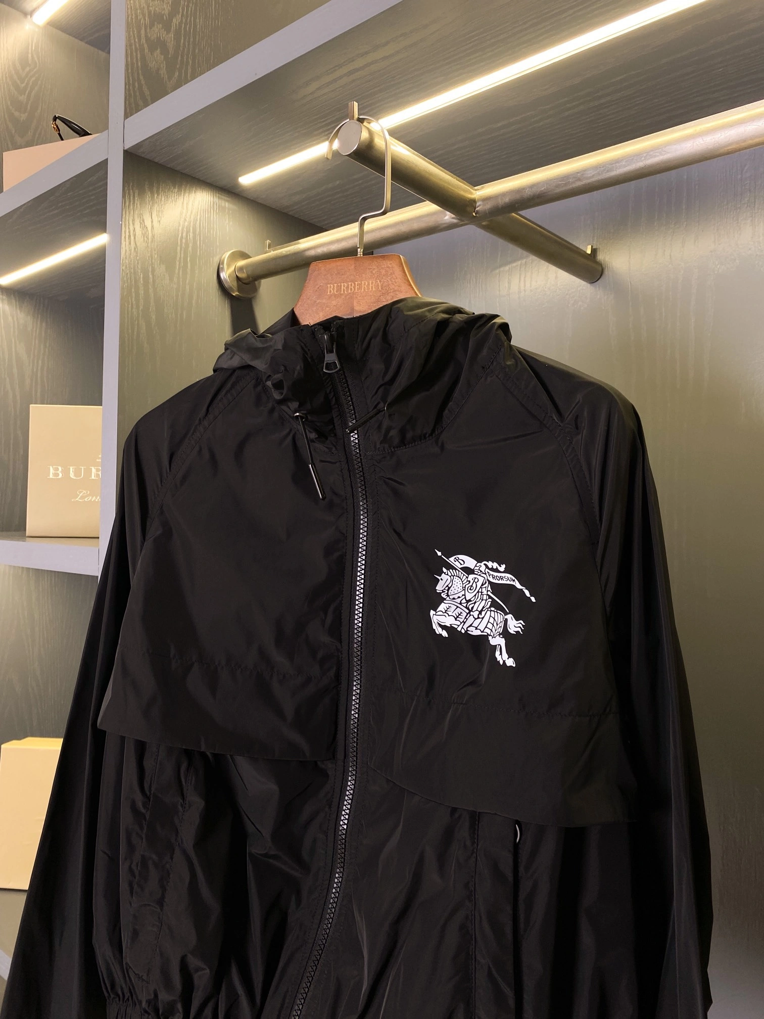 Bald Eagle- oversized item:D-F020D0217