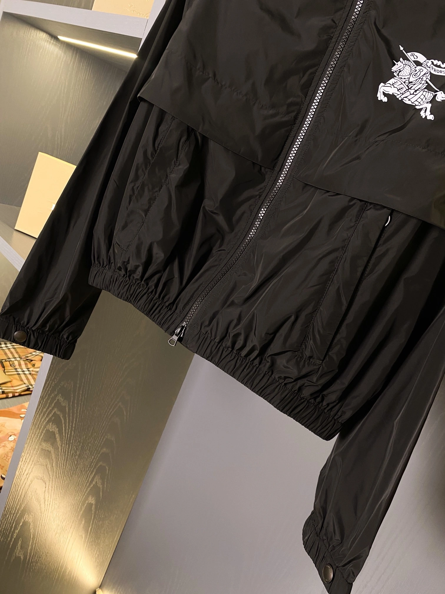 Bald Eagle- oversized item:D-F020D0217