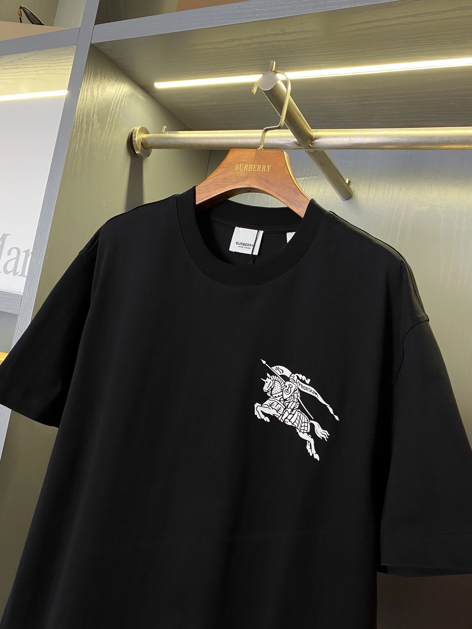 &Bald Eagle-cotton oversized 3colour item:D-F020D0210-3