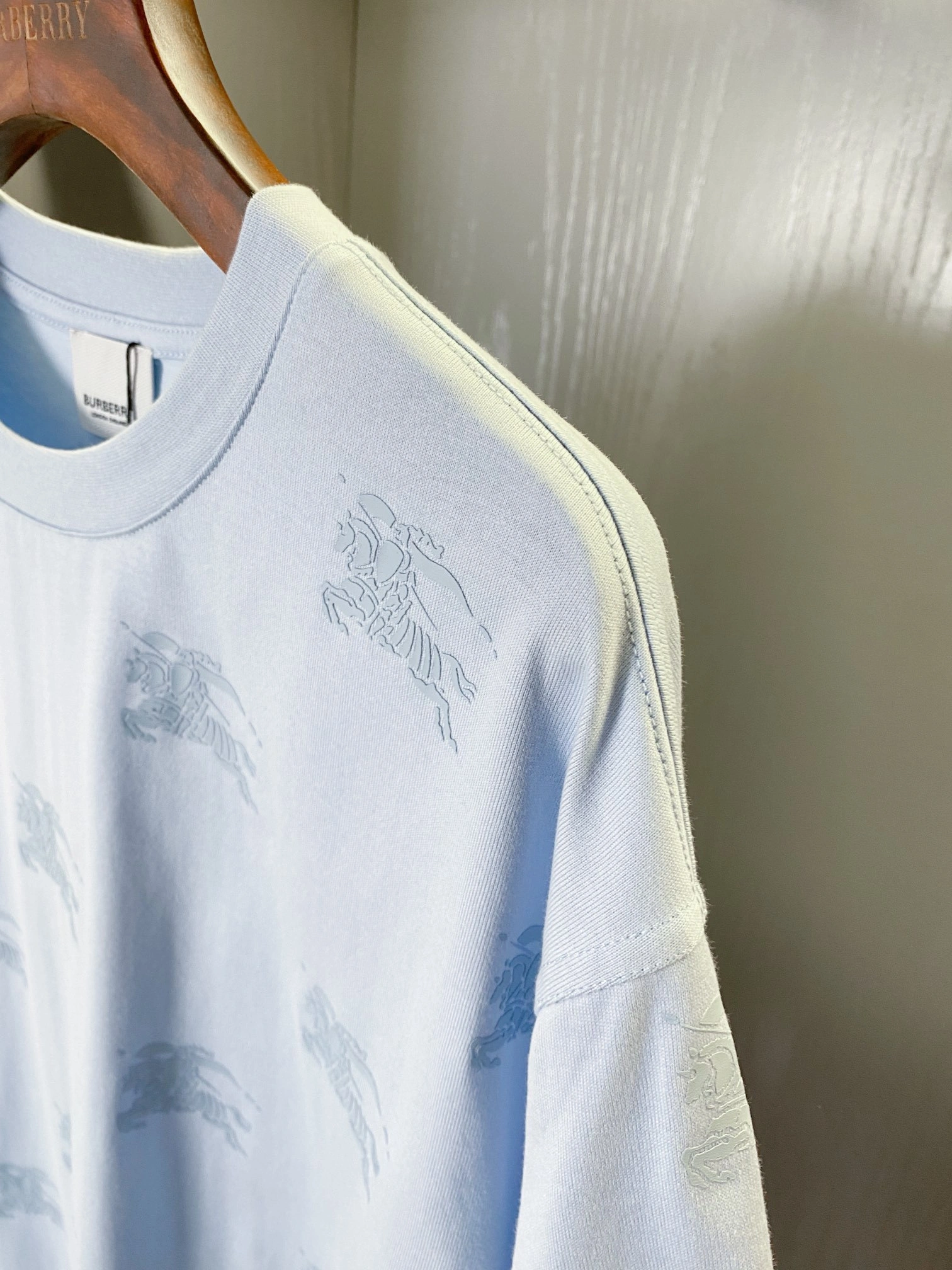 Bald Eagle-cotton oversized 5colour item:D-F020D0212-5