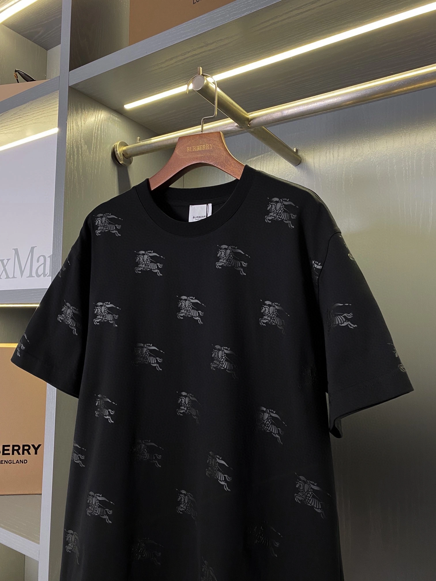 Bald Eagle-cotton oversized 5colour item:D-F020D0212-5