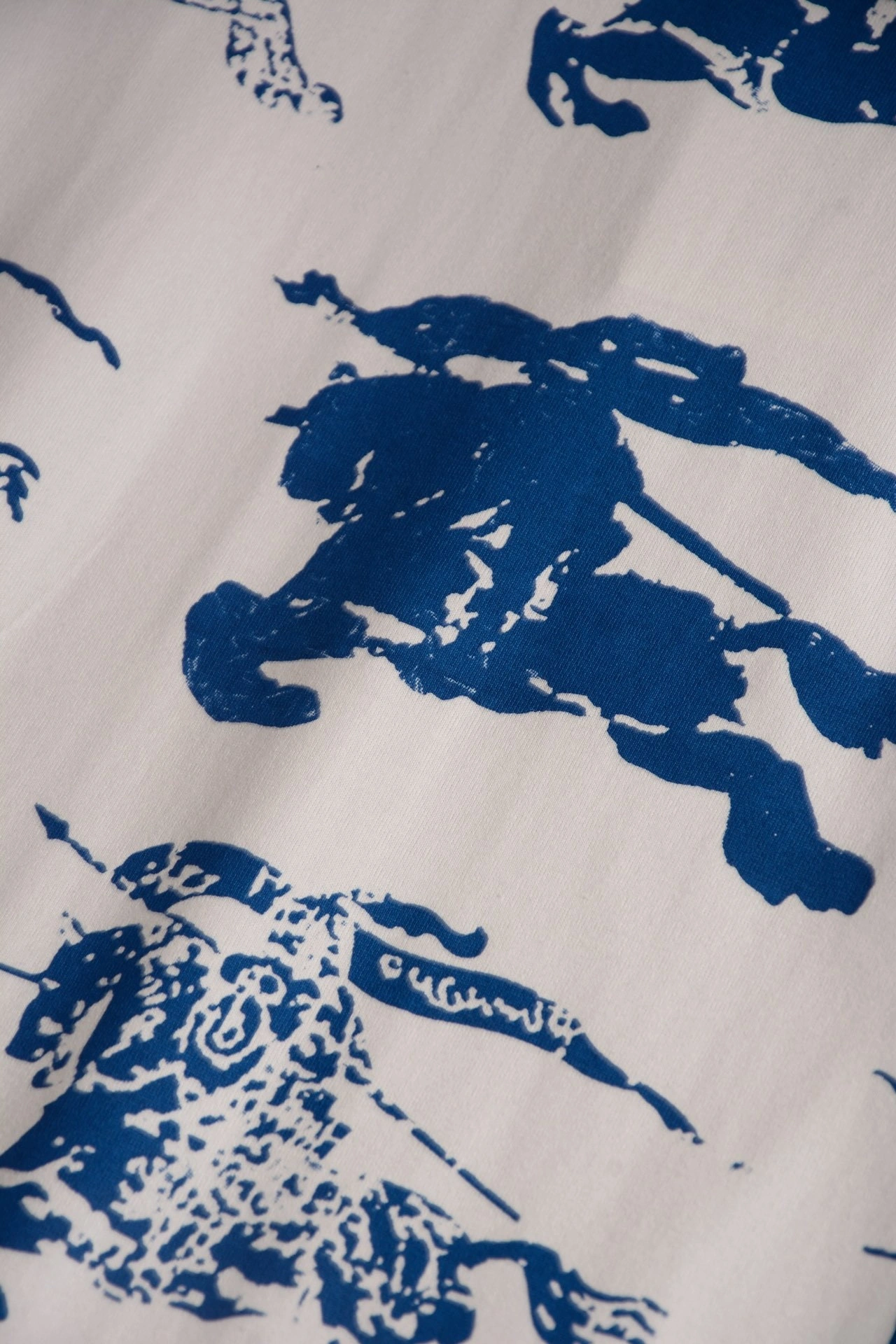 Bald Eagle-cotton oversized item:D-F020D0208