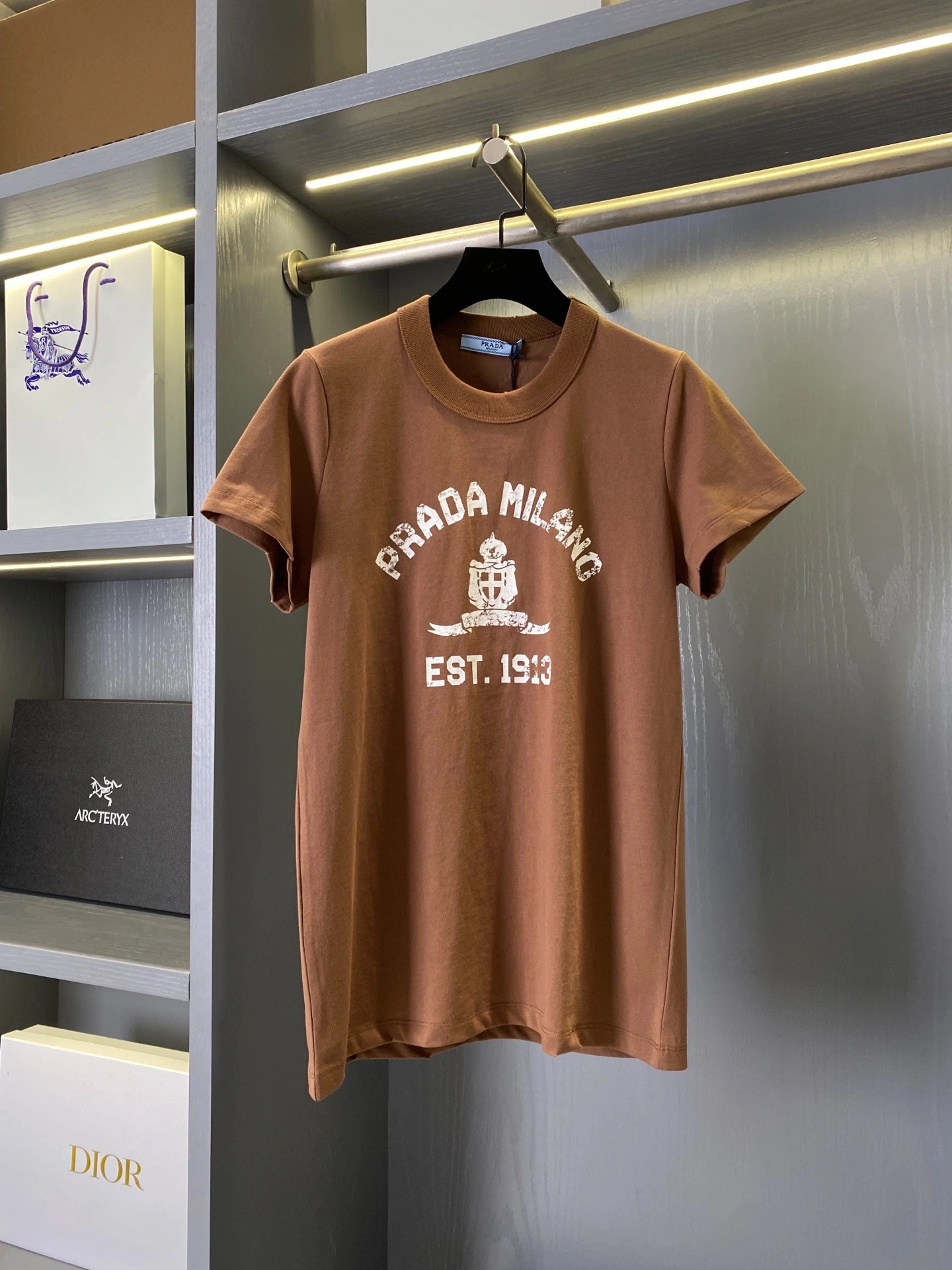 Bald eagle- Pr141 high quality version 2Colour item:E-F020E0710-2