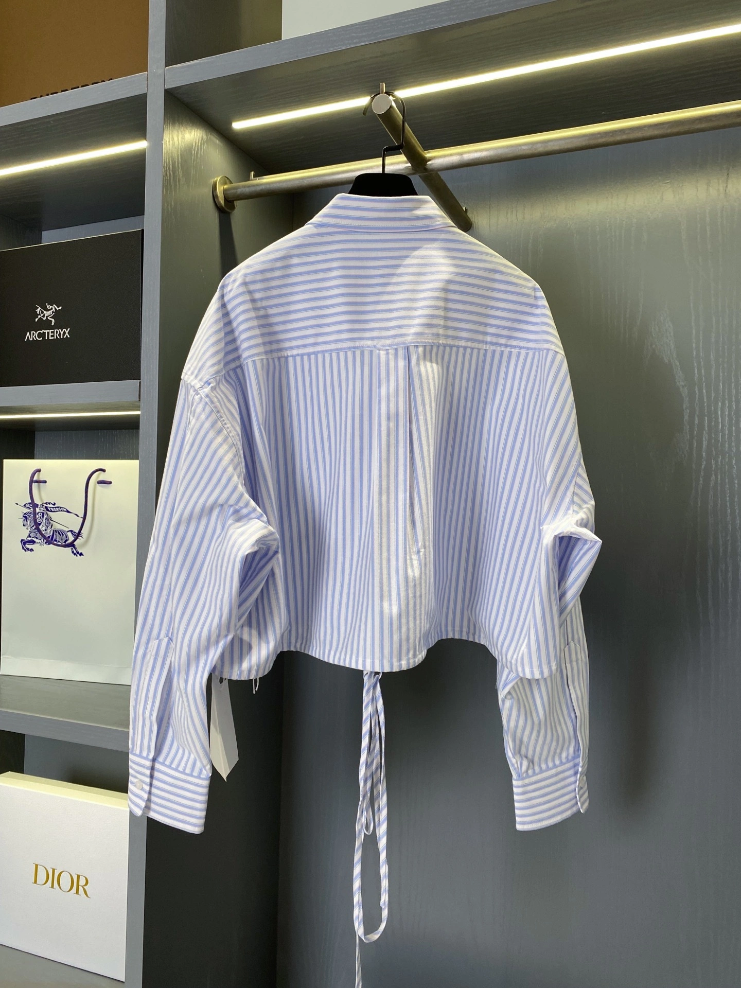 Bald eagle- W196 oversized high quality version 2Colour item:E-F020E0719-2